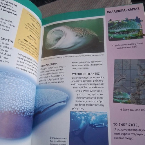 Sharks book like new, Ekdoseis Savvalas