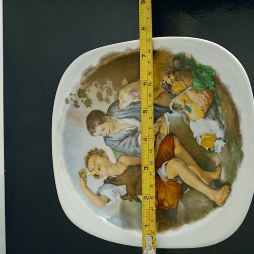 Decorative plate used with beautiful scene, 19 cm diameter