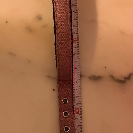 Dog collar used in pink color with leather lining