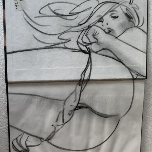 Luna erotic comic like new, hardcover large format