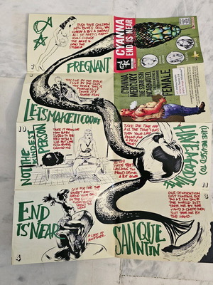 Cyanna The End Is Near collectible artwork hard poster like new