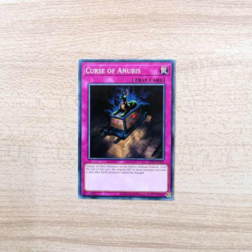 Yu-Gi-Oh! Curse of Anubis Trap Card Near Mint