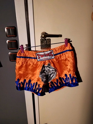 Σορτσάκι Twins Wolf In The Forest μεταχειρισμένο για Muay Thai και Kick Boxing