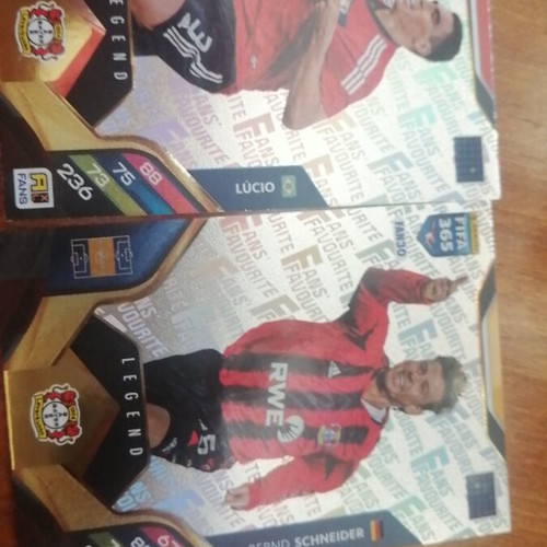 Fan's Favorite Lucio Schneider collectible card like new