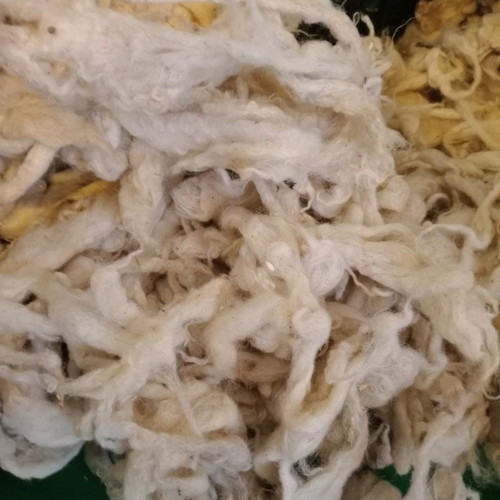 Sheep wool new, unprocessed and washed for knitting