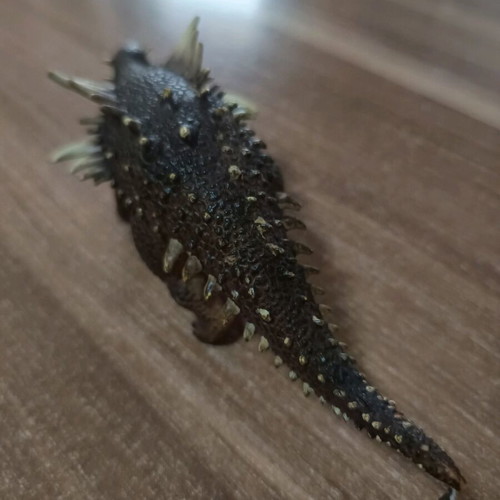 Polacanthus dinosaur figure like new 14 cm long