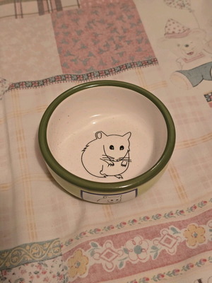Rodent bowl like new