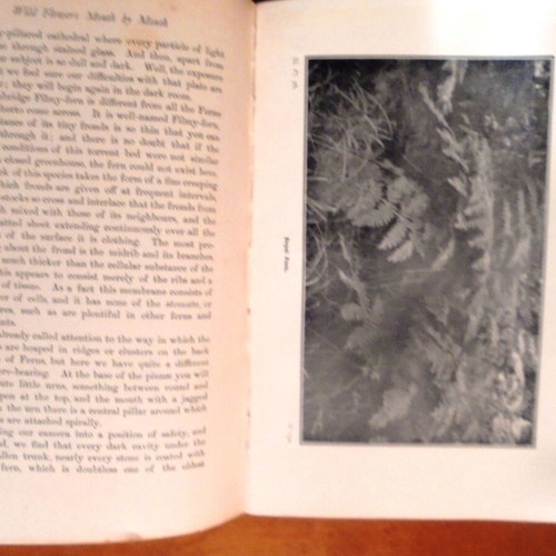 Wild Flowers Month by Month in Their Natural Haunts used, two volumes