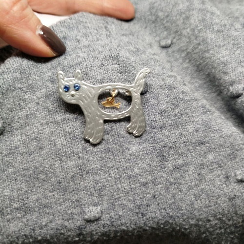 Cat brooch with fish new, impressive