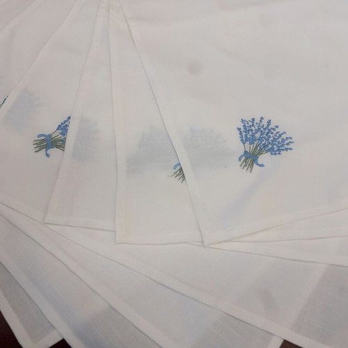 Tablecloth with 12 napkins, new, embroidered with blue border
