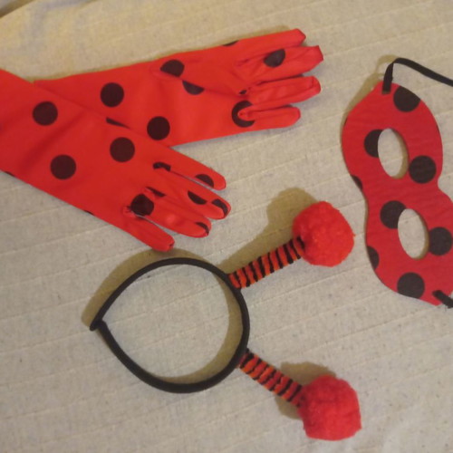 Ladybug costume set new with mask, gloves, earrings, headband