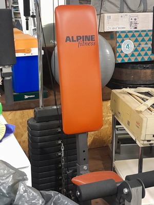Alpine Fitness G41 used