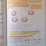 Chemistry G' Lykeiou by Salteris used, Greek edition