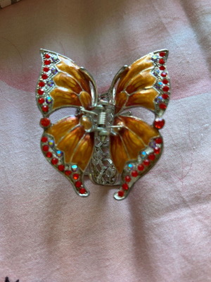 Butterfly new
