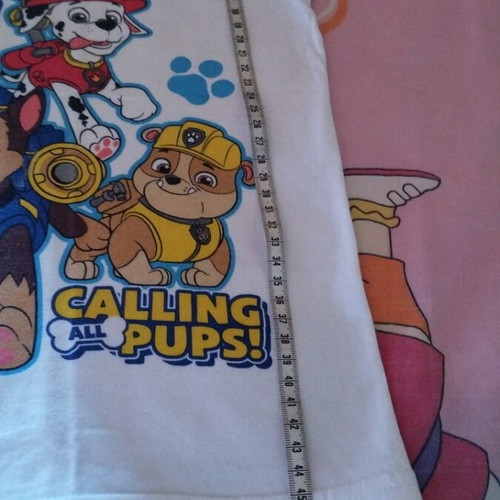 Paw Patrol T-shirt new unworn, white multicolor, for ages 2-4