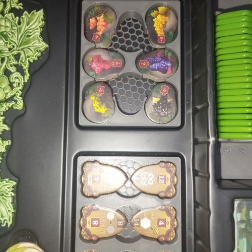 Castles Of Burgundy Special Edition 3D printed insert custom order