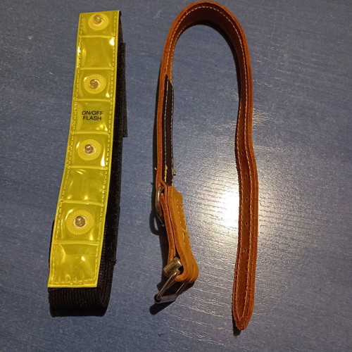 Dog collar set like new with phosphorescent light and leash