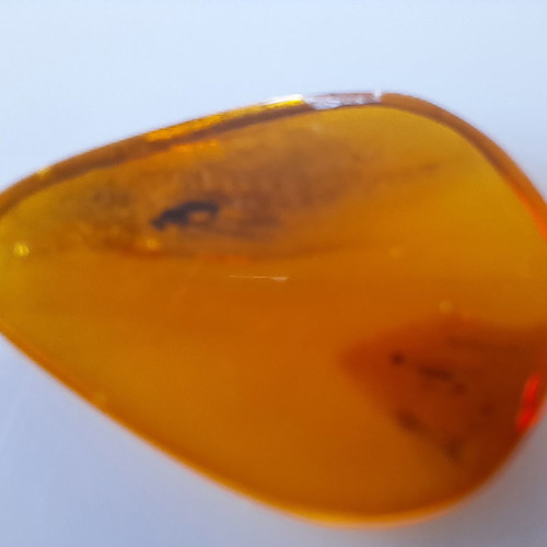 Baltic amber drop with insects suitable for pendant 0.93 grams
