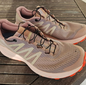 Salomon sense ride 4