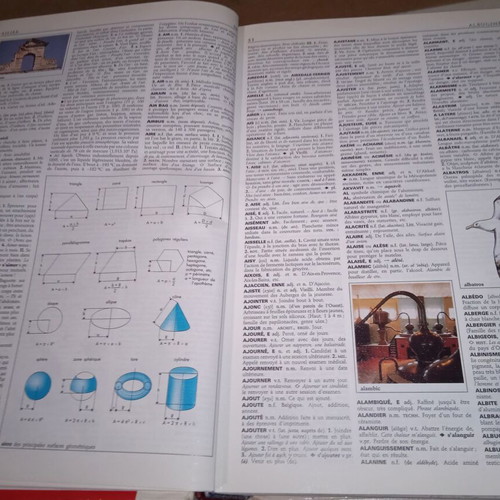 Le Petit Larousse Illustre 1994 French-French Dictionary used