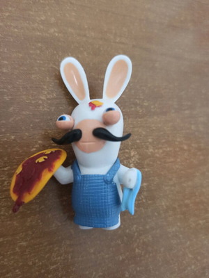 Rabbit Invasion new