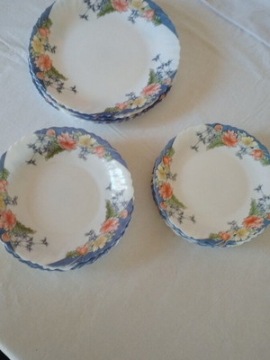 Arcopal Florine dinnerware set new with vintage floral design