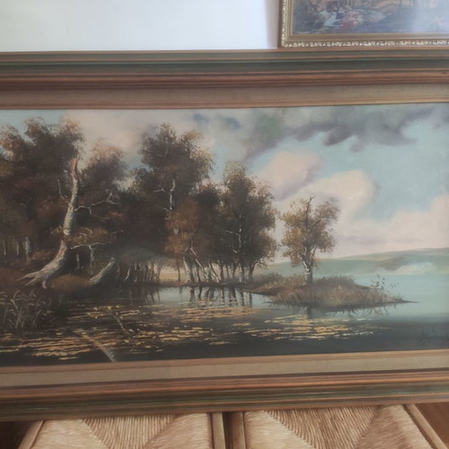 Oil painting signed used