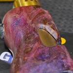 Stabwood μηχανικό mod με Goon χρυσό RDA