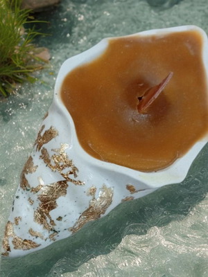 Luxury Handmade Beeswax Candle in Porcelain Shell made to order