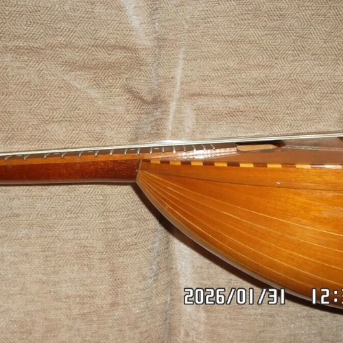 Italian Mandolin used with waterproof case and pickup