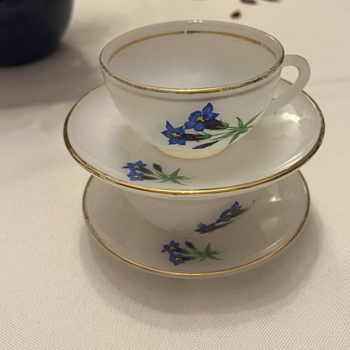 Arcopal France vintage set of 2 cups used with blue Gentian design