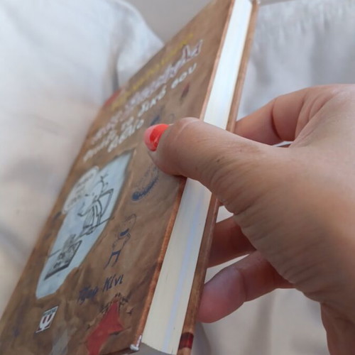Diary of a Wimpy Kid Make Your Own Book comic used, Greek