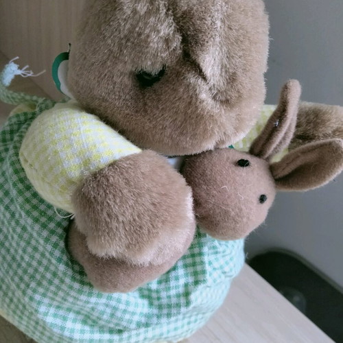 Plush Bunny with Its Little Bunny Like New