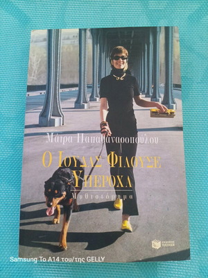 Novel book used in good condition
