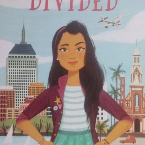 My Family Divided book like new, English