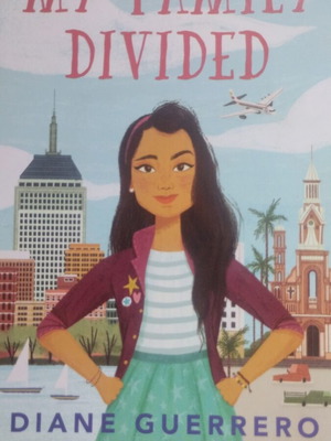 My Family Divided book like new, English