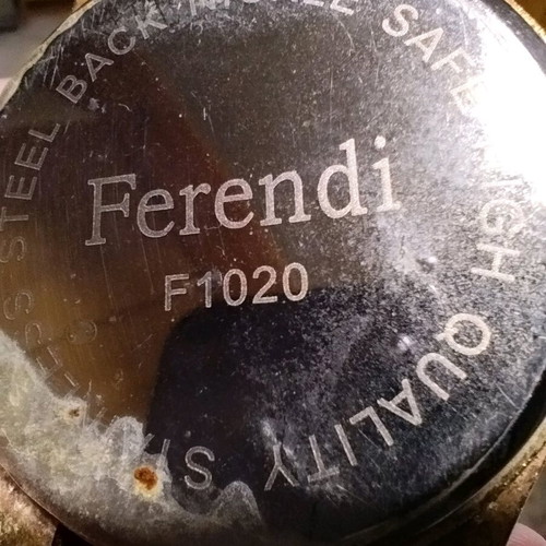 Women's Watch Ferendi F1020