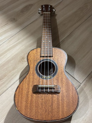 Ukulele with case and pick brown colour, like new