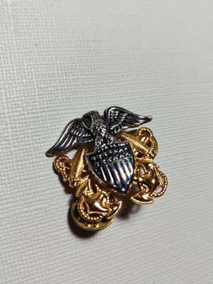 US Navy pin used
