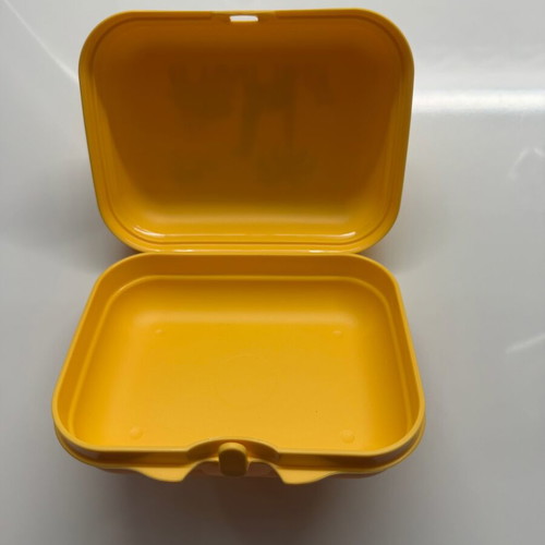 Tupperware medium twin with kids design new