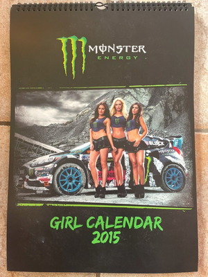 Monster Girls calendars 2016-2019 like new, pack