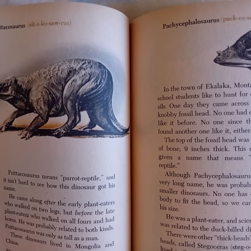 Dinosaurs and More Dinosaurs vintage children's book used, English