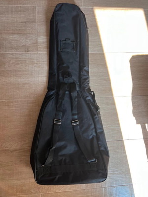 Bass guitar case