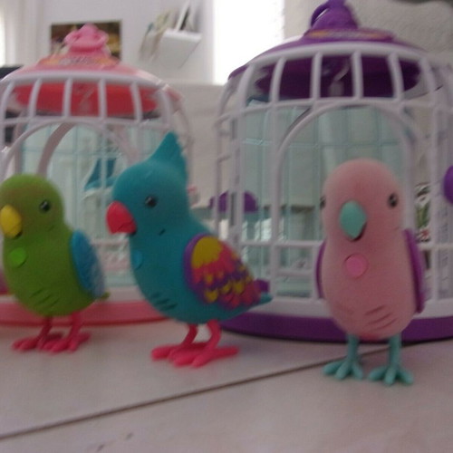 Little Live Pets 6 birds and cages