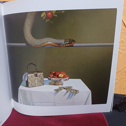 Droungas Art Book like new, bilingual edition