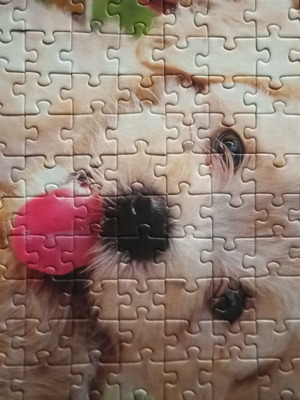 Puzzle 500 pieces used without box