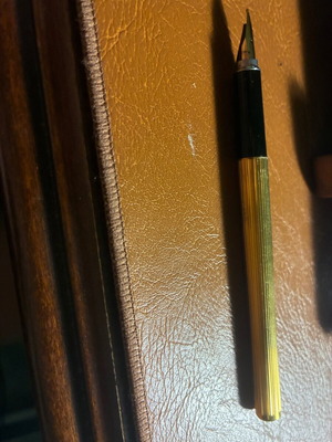 Aurora pen Marco Polo vintage used, gold plated with 14kt nib