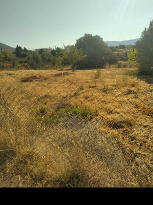 Agricultural land 1 stremma in Magoula Eretria near sea with utilities