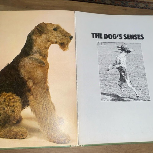 Book The Complete Book of Dogs used, dogs, training, care