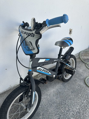 Alpina Beleno Vb 14 mountain bike used, blue